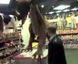 big plush dragon