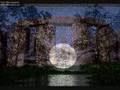 The Last Geeling - Gotic