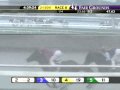 FAIR GROUNDS, 2010-03-01, Race 8