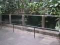12000 us gallon South America panorama tank / 45000 Liter @ a Zoo Aquarium [1/1]