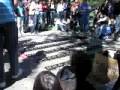 videos de Hamster Ball Racce 2009 - Beginning Rounds