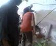 Karachi cow stuck in the Gutter -- Roomi  Gardens clifton