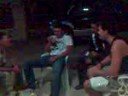 Formiga bebe (2)