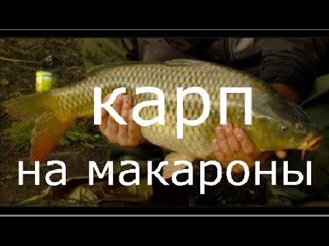 Когда клюёт карась осенью Когда клюёт карась осенью