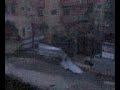 Falling fence (during the storm in Juan Dolio, 15/08/08)