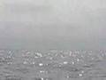 submitted by crip on Thu May 8 2008 at 11:56am