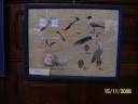 Expo broderie Expo broderie