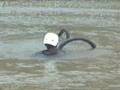 videos de La Calera - campeonato de saltos al agua en bike