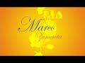 marco zumaeta - paloma de plaza