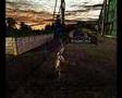 Tony-hawk-proskater-
