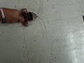 Students made these in our club.