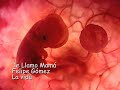 te llamo mama   felipe gómez  canción sobre el aborto 