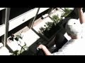 Hopsin, Nobe & Katz (Inf Gang) - Outta My Mind *Official Music Video* FREE DOWNLOAD