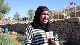 جمعية رياديات دير السودان التعاونية.. نجاح في الزراعة البيئية والتمكين الاقتصادي للنساء وأسرهن جمعية رياديات دير السودان التعاونية.. نجاح في الزراعة البيئية والتمكين الاقتصادي للنساء وأسرهن