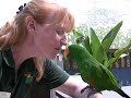 Sacramento Zoo - Lullaby for a Parrot