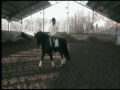 Noll Coll_2.wmv