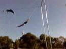 SCIM takes flight (part 2)