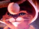 trop mimi le chat pott� dans joyeux no�l shrek