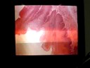 open lab 7-24