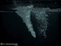 Spray bottle into water at 2000 fps