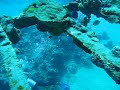 Willaurie dive, Nassau, Bahamas Willaurie dive, Nassau, Bahamas