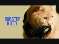 DubstepKitty - Kittycolours..