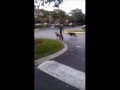 Penn's Canine Training-Two Dogs at Once- Advanced Obedience Training