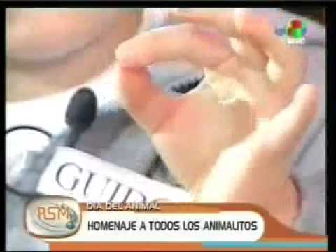 Imagen de previsualización de YouTube