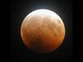 clip video Superlux Miss Moon
