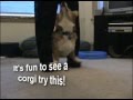 Lance's Trick Compiliation