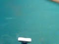 André jogando bilhar. Cagado!