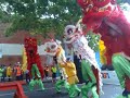 Richmond Chinese New Year Lion Dance (1)