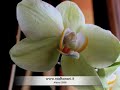 macro macro