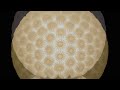Lampade Artistiche