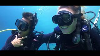 Diving Courses in Delphinus School