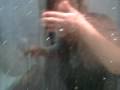 videos de Ahaa des barres avec elodie ;)