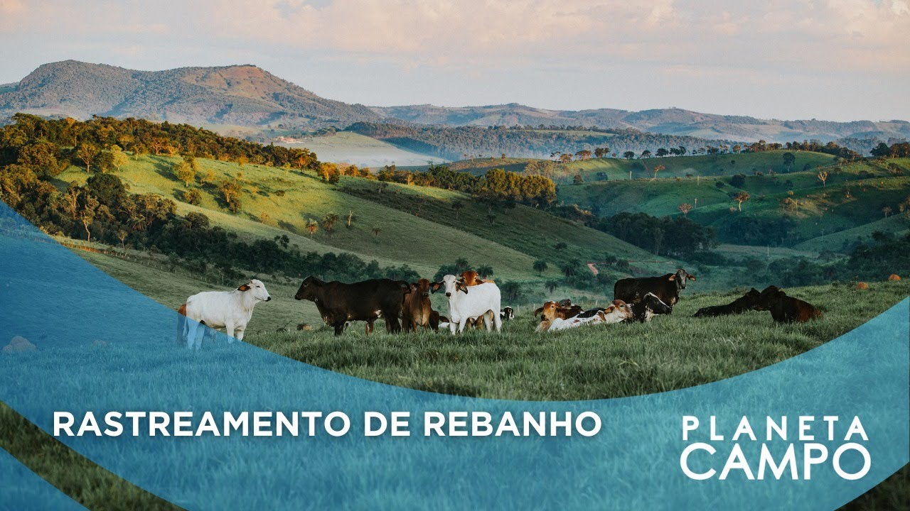 SOLUÇÕES PARA REGULARIZAÇÃO AMBIENTAL + INDICADORES PARA AUMENTAR O LUCRO DA FAZENDA!