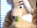 Subservient Golden Retriever - Part 1