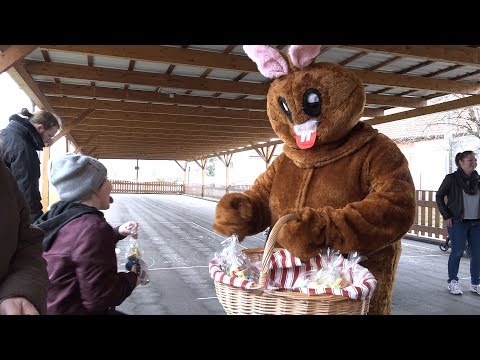 Der Osterhase in Fischamend (Niederösterreich)