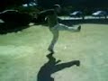 El ultimo vuelo del Fenix (Helicopter kick)