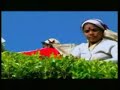Шри-Ланка - Жемчужина Индийского океана