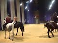 Animalia 2007 Salm Horse Team Animalia 2007 Salm Horse Team