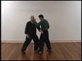 Yang Style T'ai-Chi Ch'uan Applications