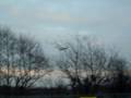 Flybe Dash 8 G-JECZ emergency landing at MAN