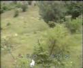 Gonici-Rapca(Dragas) 2.deo
