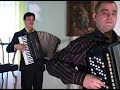 Titel-Brestovicean-A