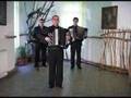 Titel-Brestovicean-A