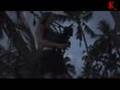 Saskia Konz: The Lion Sleeps Tonight