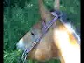 Video from My Phone (0820081042.3g2)