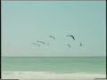 Boca Grande Florida